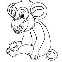 Monkey picture to color - Coloring page - ANIMAL coloring pages - WILD ANIMAL coloring pages - JUNGLE ANIMALS coloring pages - MONKEY coloring pages
