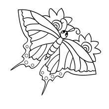 Tiger Swallowtail Butterly coloring page