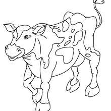 Cow online coloring - Coloring page - ANIMAL coloring pages - FARM ANIMAL coloring pages - COW coloring pages