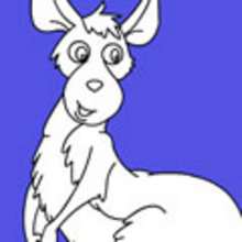 AUSTRALIAN ANIMALS coloring pages - ANIMAL coloring pages - Coloring page