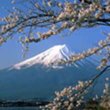 Japan - Reading online - REPORTS - GEOGRAPHY