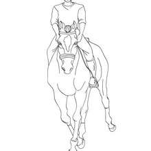Man riding a horse coloring page - Coloring page - SPORT coloring pages - EQUESTRIAN coloring pages - HORSE TRAINING coloring pages