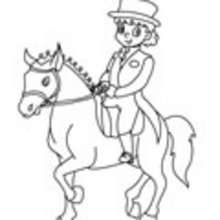 HORSE TRAINING coloring pages
