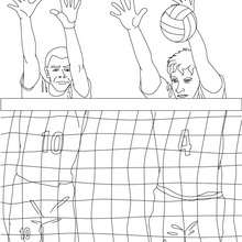 Volleyball block coloring page - Coloring page - SPORT coloring pages - VOLLEYBALL coloring pages