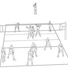 Volleyball court coloring page - Coloring page - SPORT coloring pages - VOLLEYBALL coloring pages