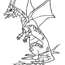 Dragon warrior coloring page - Coloring page - FANTASY coloring pages - DRAGON coloring pages - DRAGON online coloring page