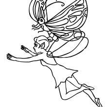 Winged elf flying coloring page - Coloring page - FANTASY coloring pages - ELVE coloring pages - WINGS OF THE ELVES  coloring pages