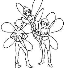Group of winged elves coloring page - Coloring page - FANTASY coloring pages - ELVE coloring pages - WINGS OF THE ELVES  coloring pages