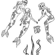 Group of lovely mermaids swimming coloring page - Coloring page - FANTASY coloring pages - MERMAID coloring pages - Groups of mermaids coloring pages