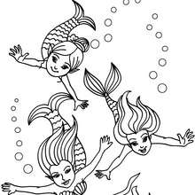 Group of young mermaids swimming coloring page