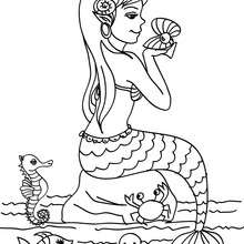 Mermaid with her friends coloring page - Coloring page - FANTASY coloring pages - MERMAID coloring pages - Mermaid and sea creatures coloring pages