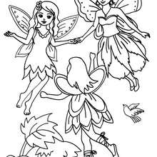 Fairies flying in the wood coloring page - Coloring page - FANTASY coloring pages - FAIRY coloring pages - FAIRIES coloring pages