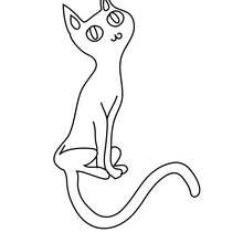 Lovely black cat coloring page