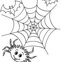 Spider, spider web and bats coloring page - Coloring page - HOLIDAY coloring pages - HALLOWEEN coloring pages - HALLOWEEN SPIDER coloring pages