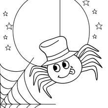 Spider and spider web coloring page - Coloring page - HOLIDAY coloring pages - HALLOWEEN coloring pages - HALLOWEEN SPIDER coloring pages