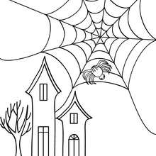 Horrendous spiderweb coloring page