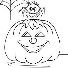 Tarantula and pumpkin coloring page