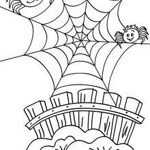 Humoristic spiderweb coloring page