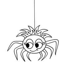 Spider hanging from a thread coloring page