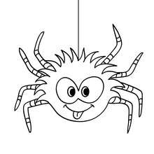 Funny spider coloring page - Coloring page - HOLIDAY coloring pages - HALLOWEEN coloring pages - HALLOWEEN SPIDER coloring pages