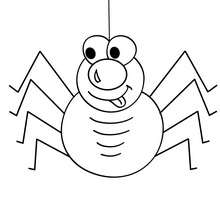 Lovely spider coloring page - Coloring page - HOLIDAY coloring pages - HALLOWEEN coloring pages - HALLOWEEN SPIDER coloring pages