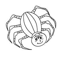 8 legs spider coloring page - Coloring page - HOLIDAY coloring pages - HALLOWEEN coloring pages - HALLOWEEN SPIDER coloring pages