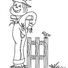 Funny scarecrow coloring page - Coloring page - HOLIDAY coloring pages - HALLOWEEN coloring pages - SCARECROW coloring pages