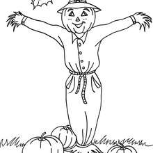 Scarecrow in pumpkin patch coloring page