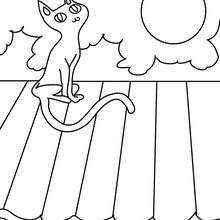 Black cat under the moonlight coloring page - Coloring page - HOLIDAY coloring pages - HALLOWEEN coloring pages - BLACK CAT coloring pages