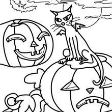 Winged black cat & pumpkins coloring page