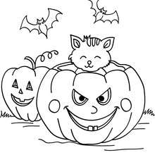 Pumpkin with bats and cats coloring page