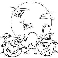 Pumpkin, black cat and bats coloring page