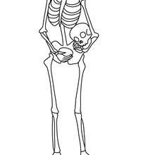 skeleton-carrying-his-head-under-his-arm-01-k2p - Coloring page - HOLIDAY coloring pages - HALLOWEEN coloring pages - HALLOWEEN SKELETON coloring pages