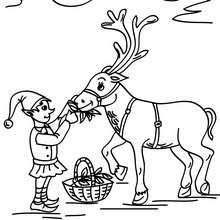 Christmas sprite feeding a reindeer coloring page