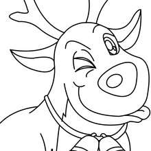 Rudolph reindeer close-up coloring page - Coloring page - HOLIDAY coloring pages - CHRISTMAS coloring pages - XMAS REINDEER coloring pages - RUDOLPH THE RED-NOSED REINDEER coloring pages
