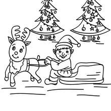 Christmas elf training the young reindeer for take off coloring page - Coloring page - HOLIDAY coloring pages - CHRISTMAS coloring pages - CHRISTMAS ELVES coloring pages