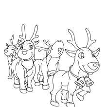 Comet and reindeer team coloring page - Coloring page - HOLIDAY coloring pages - CHRISTMAS coloring pages - XMAS REINDEER coloring pages - COMET coloring pages