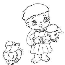 Young shepherd and lambs coloring page