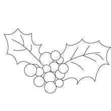 Holly branch coloring pages 