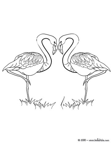 Love flamingos coloring pages - Hellokids.com