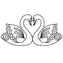 Love swan coloring page - Coloring page - HOLIDAY coloring pages - VALENTINE coloring pages - KISS coloring pages