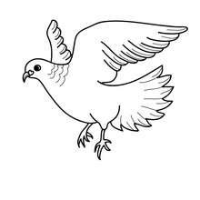 Lovebird coloring page - Coloring page - HOLIDAY coloring pages - VALENTINE coloring pages - Free VALENTINE coloring pages