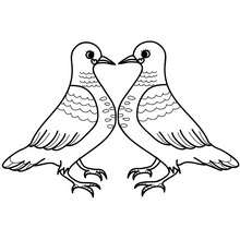 Valentine Doves coloring page - Coloring page - HOLIDAY coloring pages - VALENTINE coloring pages - KISS coloring pages