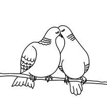 Love Dove coloring page - Coloring page - HOLIDAY coloring pages - VALENTINE coloring pages - KISS coloring pages