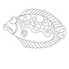 Monster fish coloring page - Coloring page - HOLIDAY coloring pages - APRIL FOOL'S DAY coloring pages