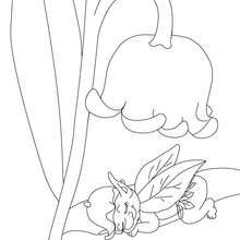 Lily of the Valley and fairy coloring page - Coloring page - NATURE coloring pages - FLOWER coloring pages - LILY OF THE VALLEY coloring pages
