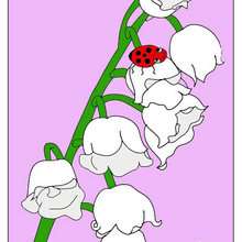 LADYBIRD on flower - Drawing for kids - HOLIDAY illustrations - MOTHER'S DAY illustrations