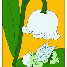 Muguet flower - Drawing for kids - HOLIDAY illustrations - MOTHER'S DAY illustrations