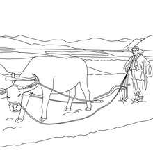 Famer plowing coloring page