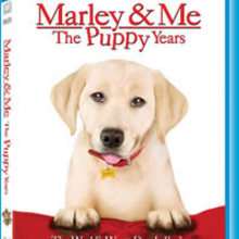 Marley and Me The Puppy Year